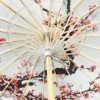 Traditional Japanese Parasol – UV Protection – Plum Motif with Wooden Handle – Women's Sun Umbrella - Imagen 5
